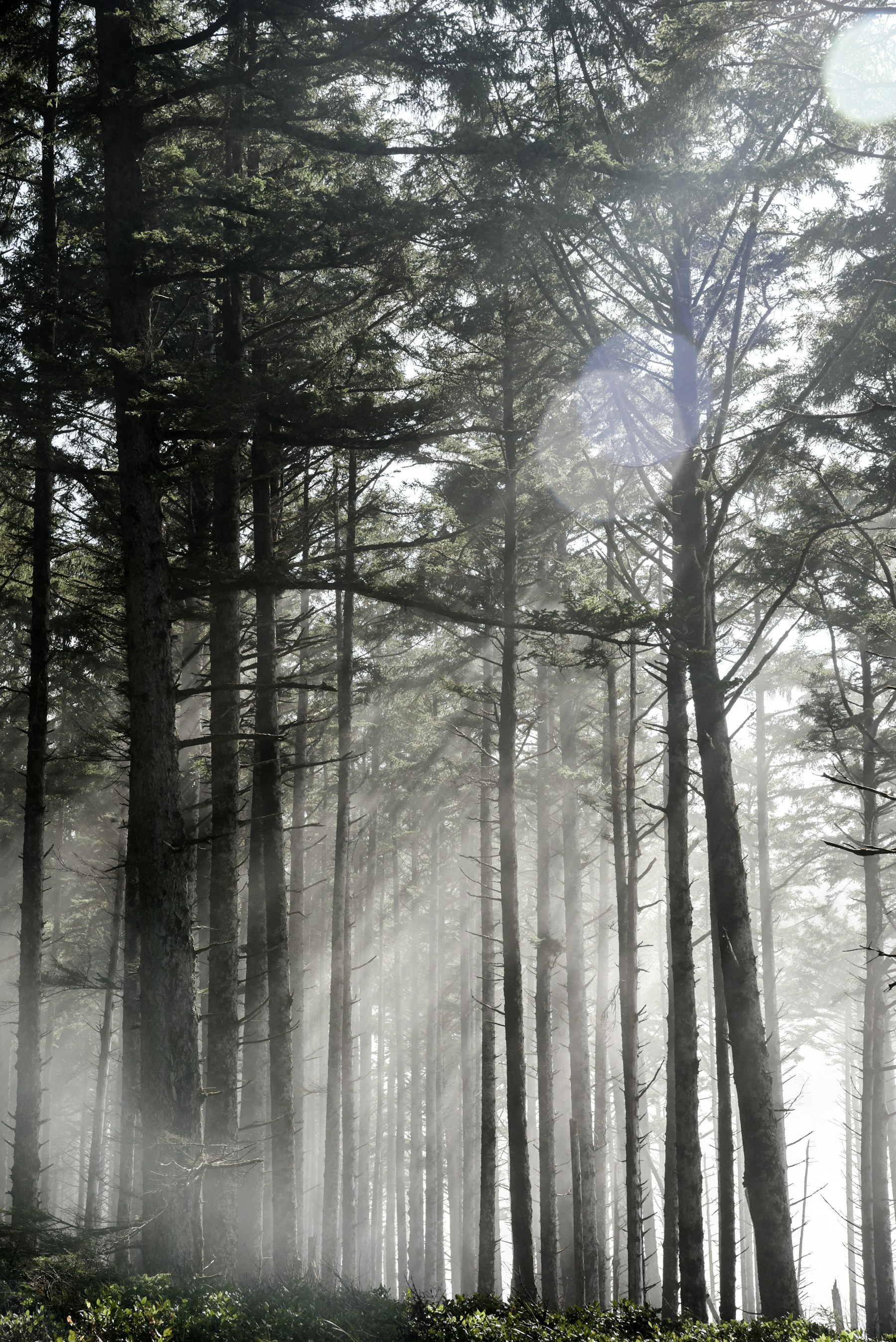 Nature, attractions, and outdoor activities.